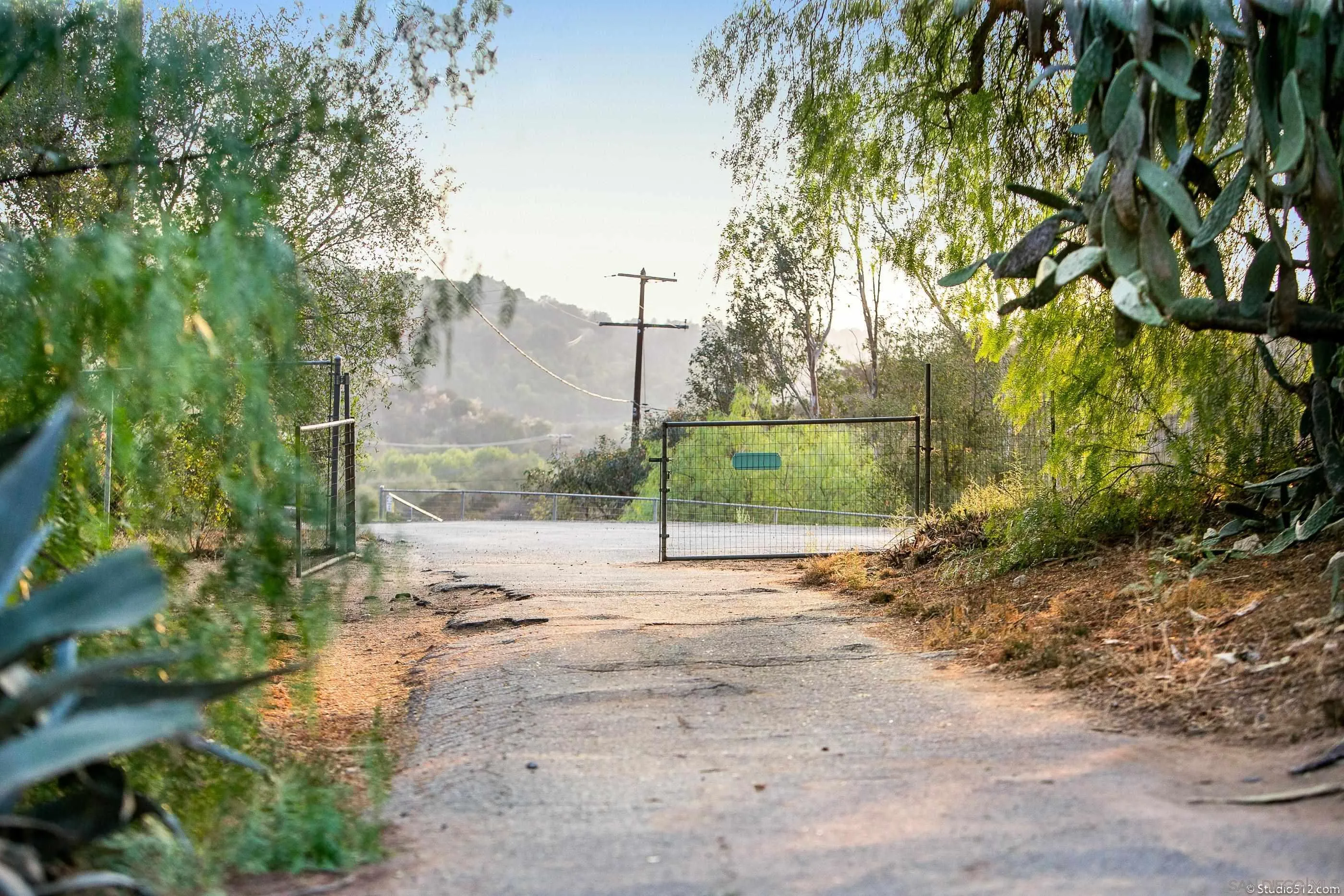 31151 Lilac Road Valley Center, CA 92082 - Photo 4 of 25 a view of a road with a yard