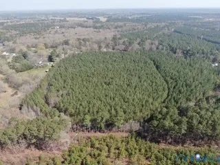 $150,000 | 19-ac Coppahaunk Avenue, Waverly, VA 23890