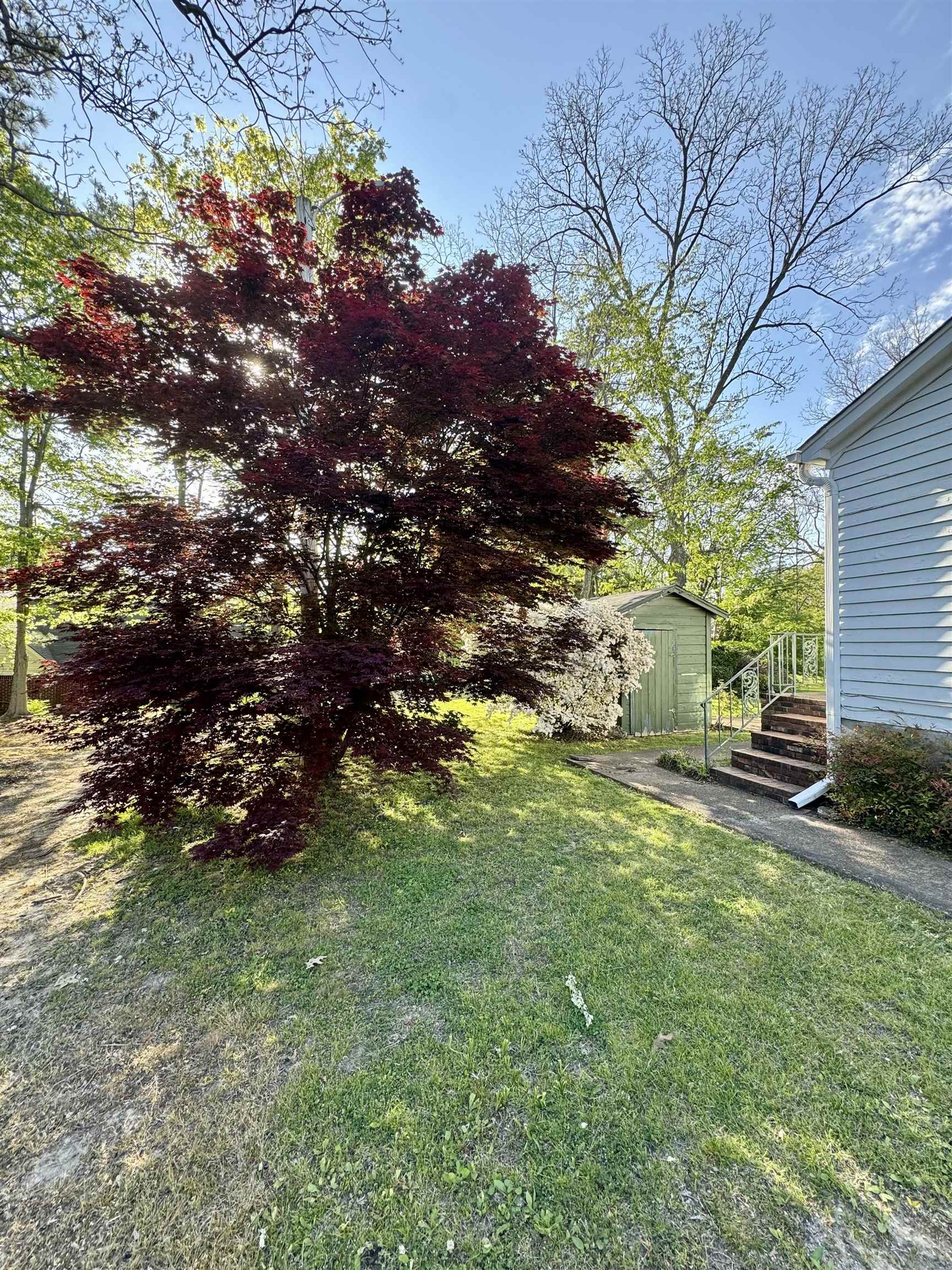 1015 Crestview Street Covington, TN 38019 - Photo 33 of 33 a backyard of a house