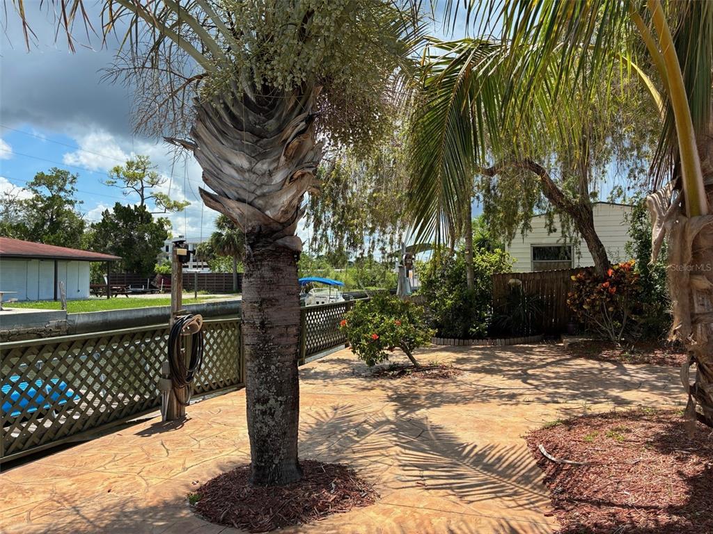 13916 Muriel Avenue Hudson, FL 34667 - Photo 9 of 9 a tree in a yard next to a building