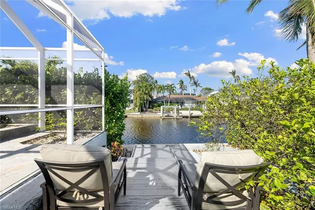 a view of a yard with plants and trees