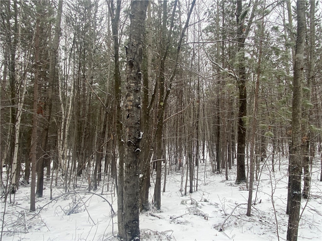 Seven Seven Mile Road Herbster, WI 54844 - Photo 4 of 4