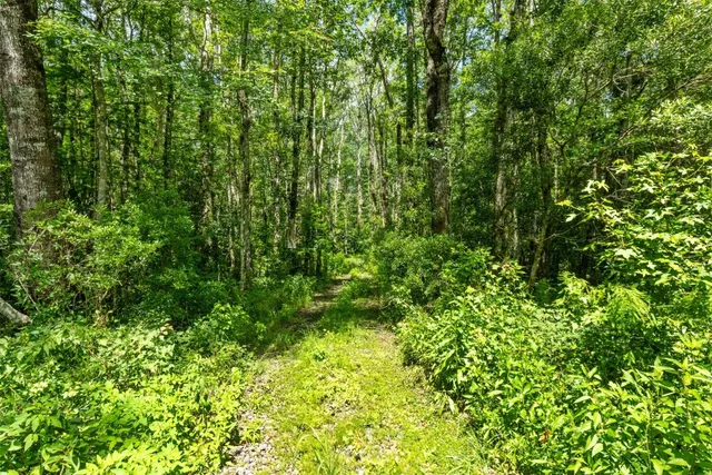 $1,178,000 | 37854 Kings Ferry Road, Hilliard, FL 32046