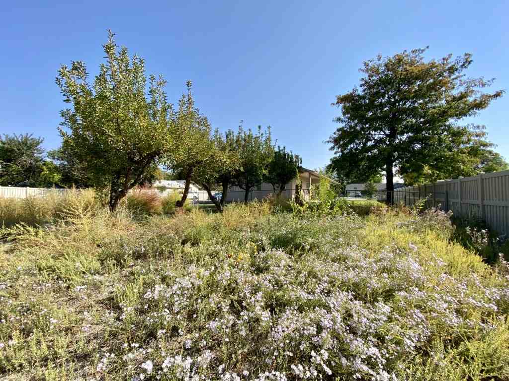 243 29 Road Grand Junction, CO 81503 - Photo 28 of 31