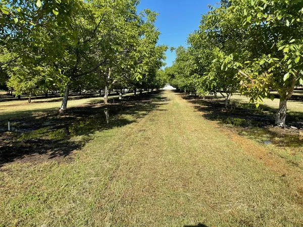 a view of a yard with wooden fence