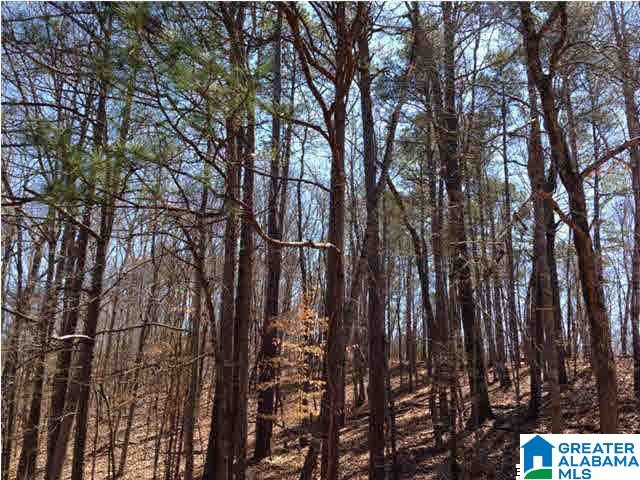 0 Woolfolk Road, Unit 3 ACRES Munford, AL 36268 - Photo 15 of 24