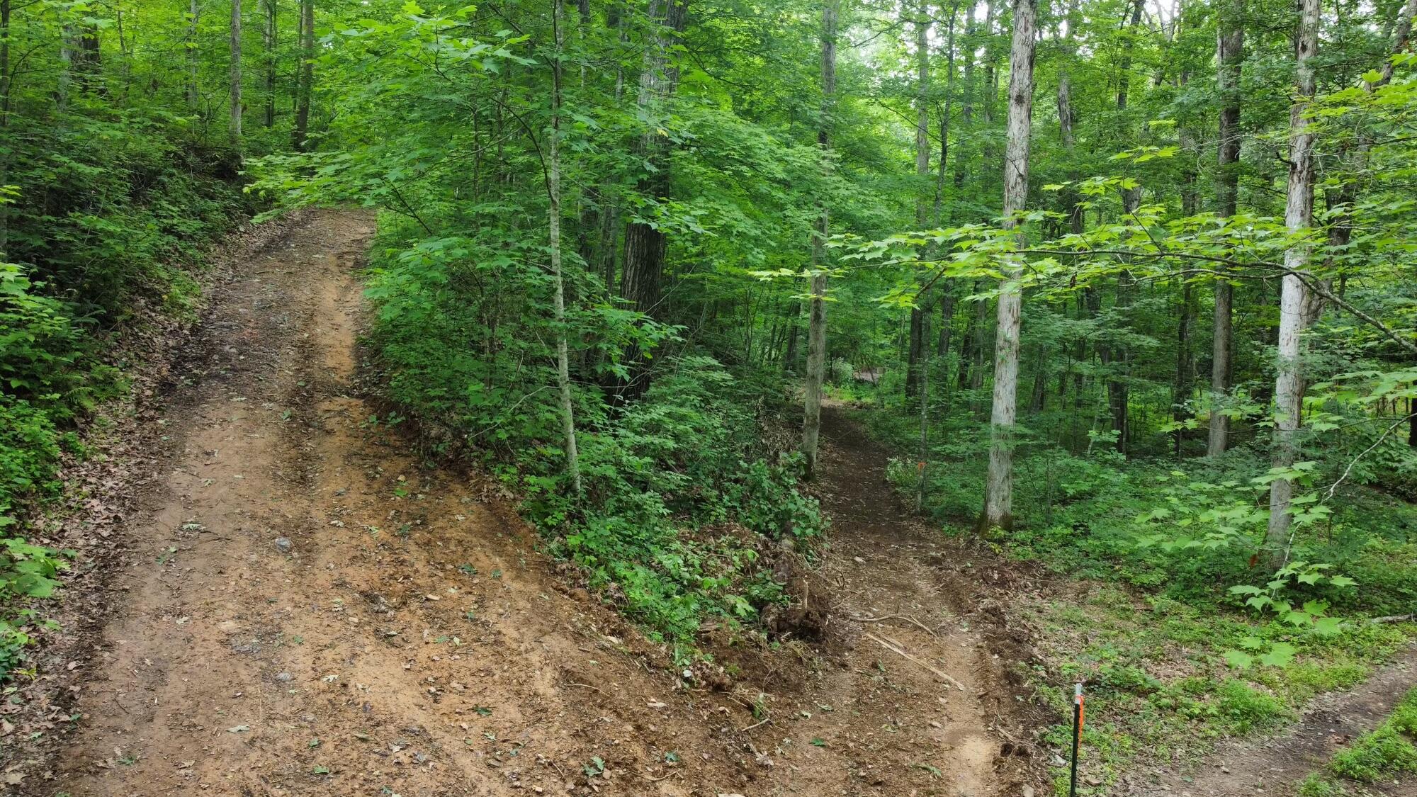 1 Pendleton Branch Road Salt Lick, KY 40371 - Photo 9 of 10 dji_fly_20230704_152200_278_168849861978