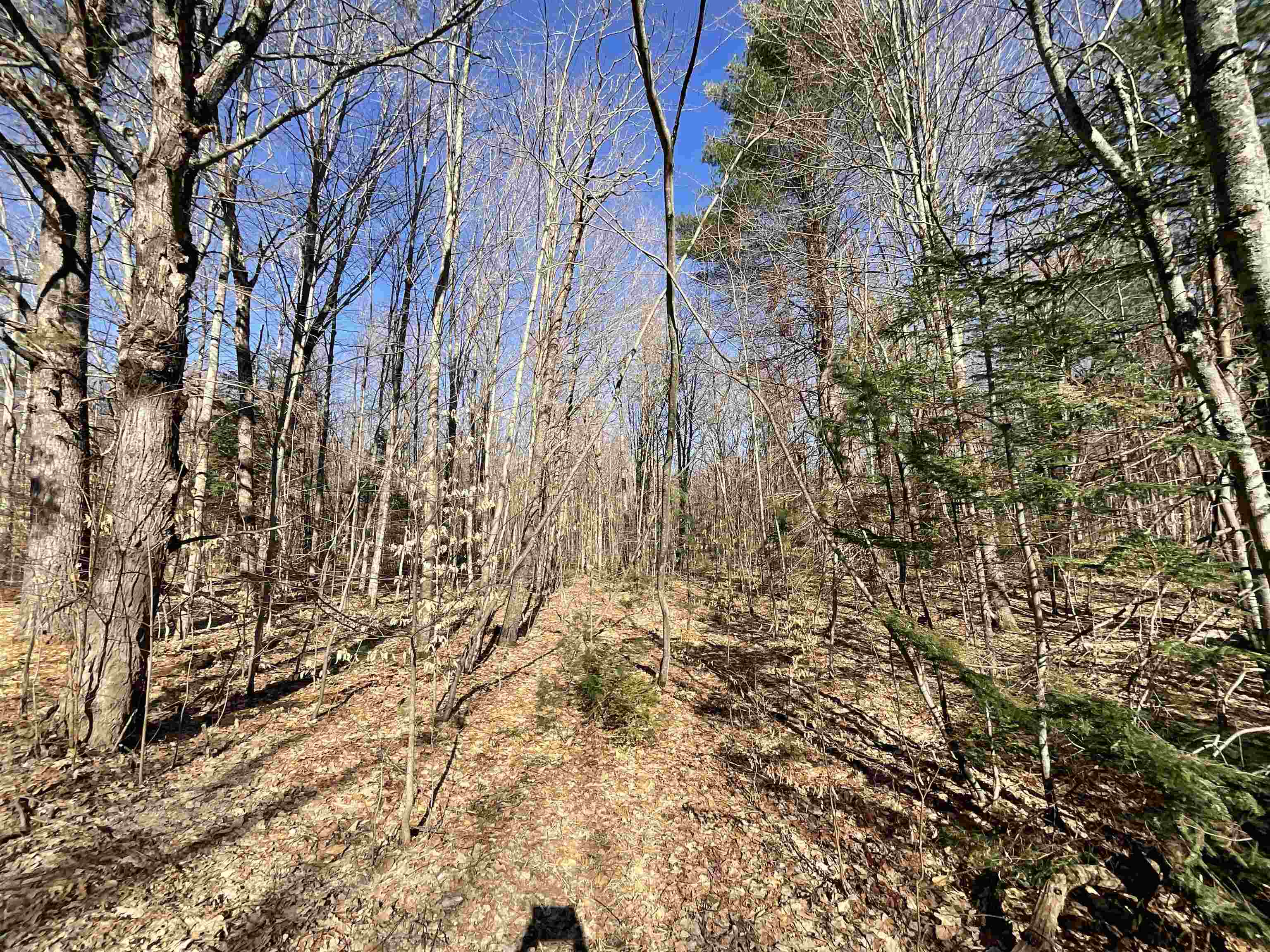V/l Tower Road Northeast Kalkaska, MI 49646 - Photo 3 of 15