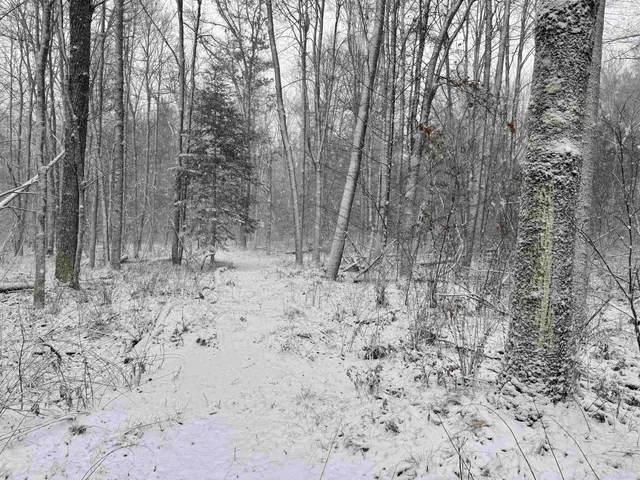 $67,500 | Hydro Road, Unit 22, Crivitz, WI 54114