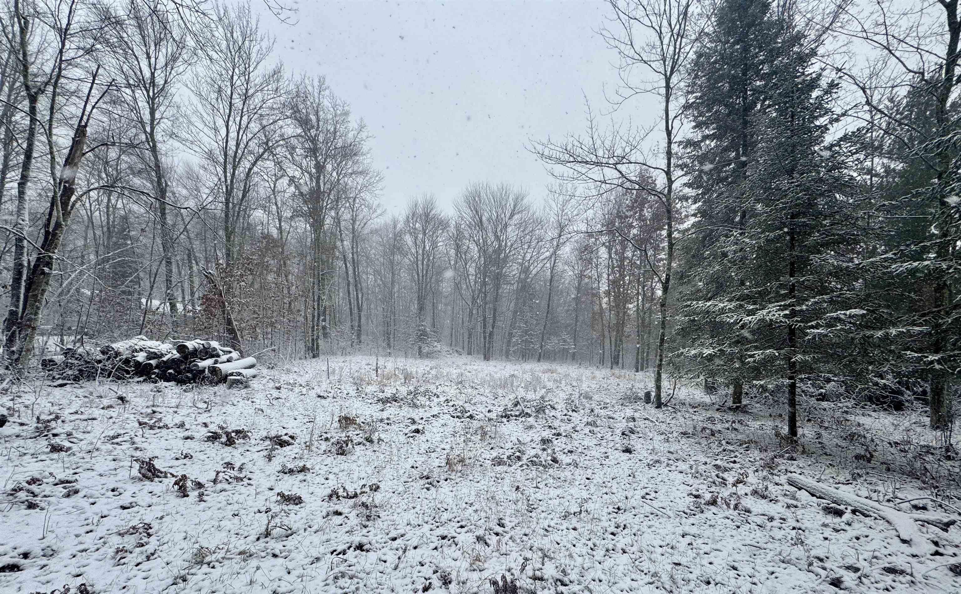 Hydro Road, Unit 22 Crivitz, WI 54114 - Photo 5 of 14