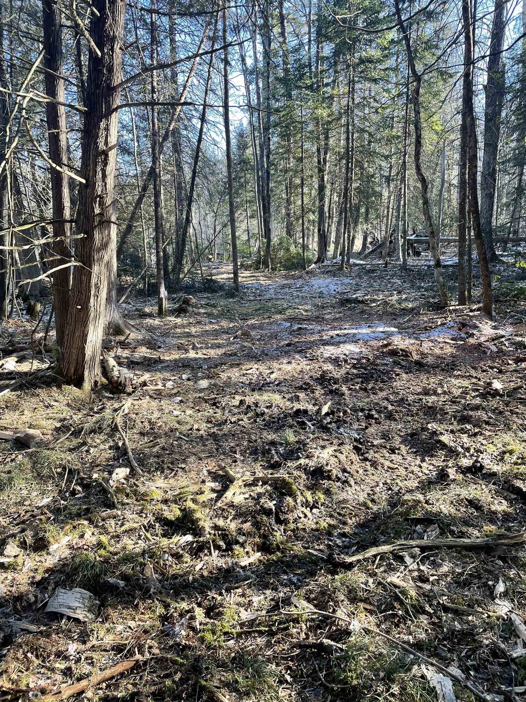 Hydro Road, Unit 22 Crivitz, WI 54114 - Photo 7 of 14