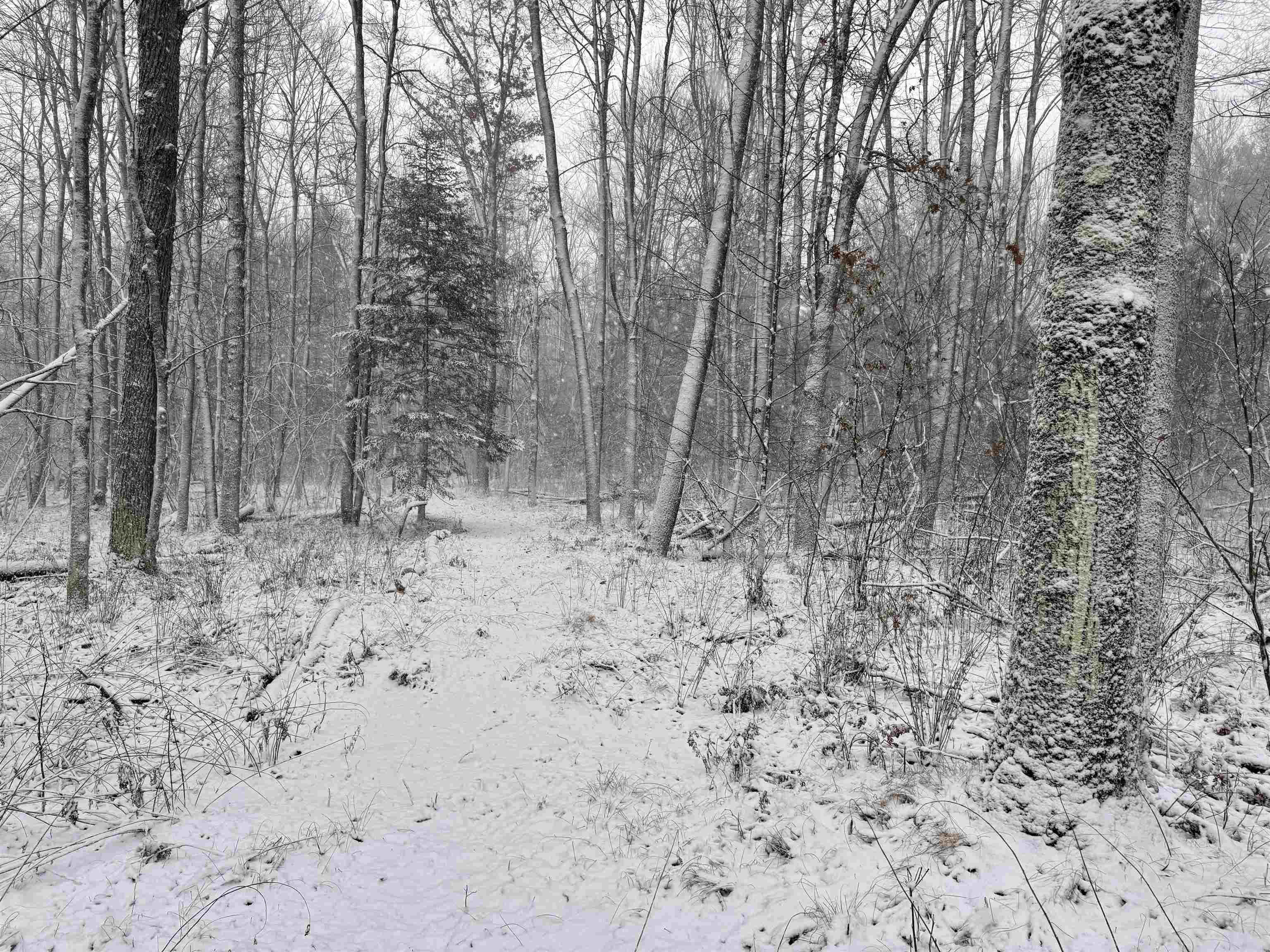 Hydro Road, Unit 22 Crivitz, WI 54114 - Photo 10 of 14