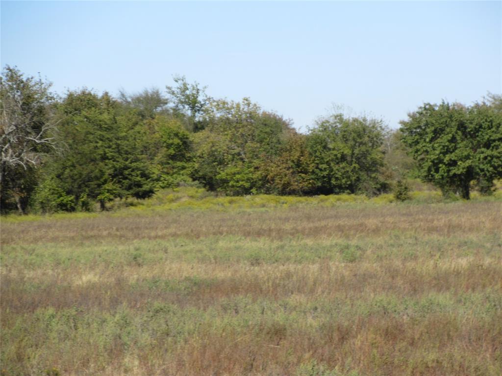 Tbd County Road 3040 Bonham, TX 75418 - Photo 2 of 7 a view of a field with trees in background