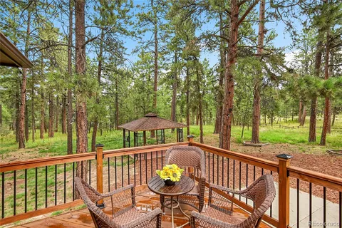 a view of backyard of house