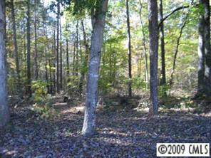 4615 Creekview Road Edgemoor, SC 29712 - Photo 7 of 8 a view of a forest that has large trees