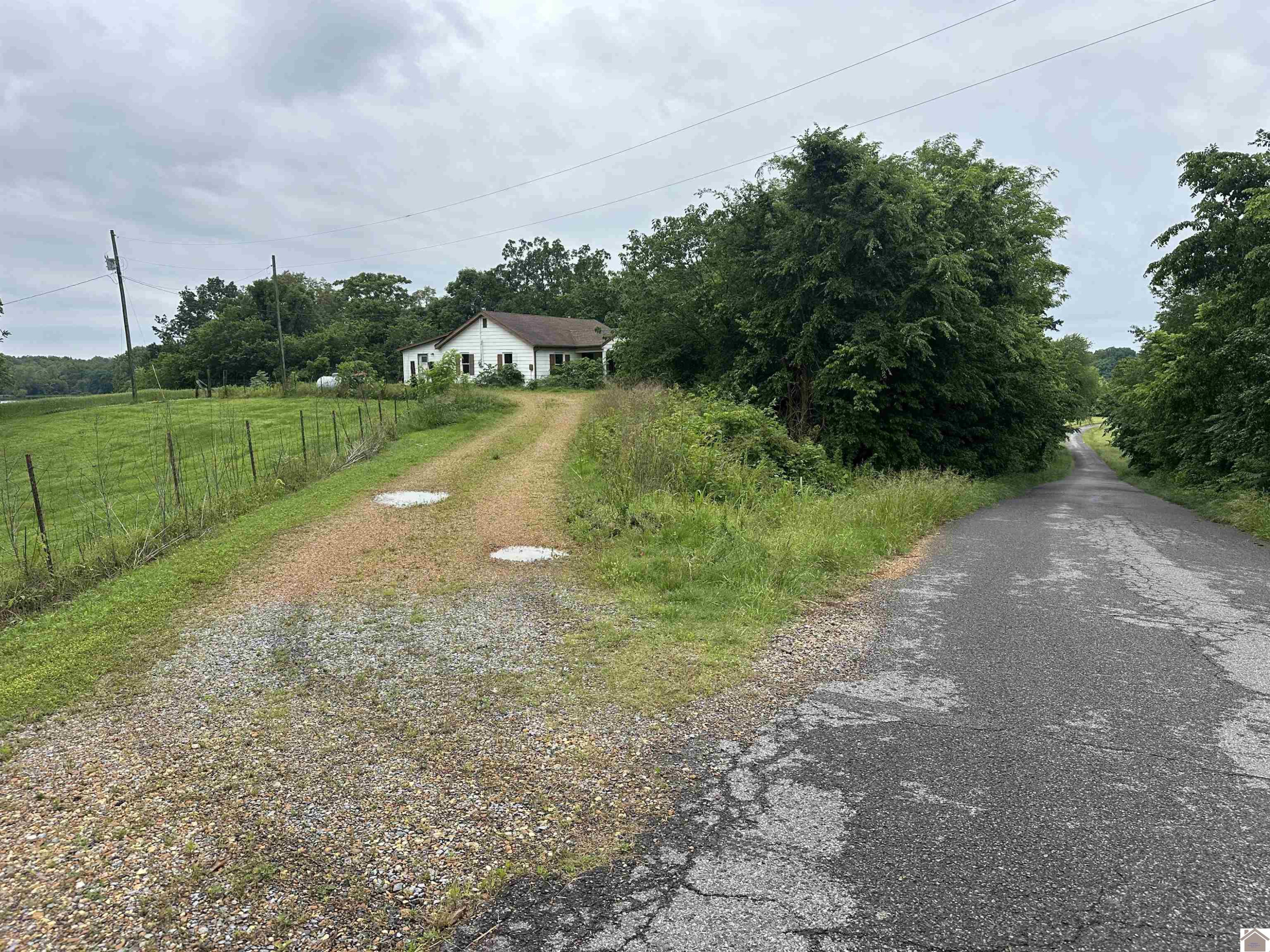 1251 Tater Road Mayfield, KY 42066 - Photo 6 of 26 Photo 6