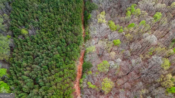 $1,170,150 | 78-acres Cross Plains Road, Carrollton, GA 30116