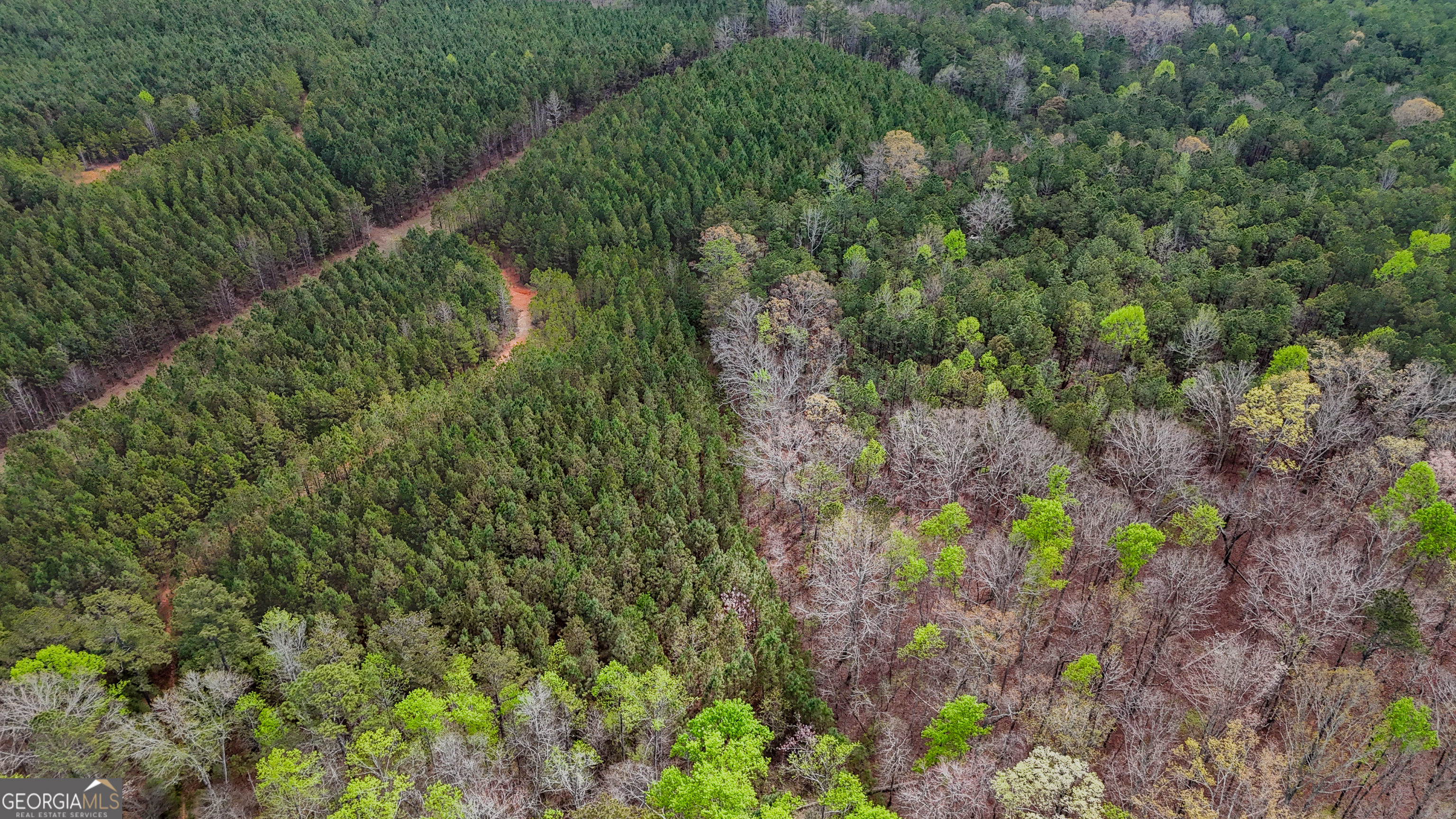 78-acres Cross Plains Road Carrollton, GA 30116 - Photo 2 of 5 a view of a lush green forest with lots of trees