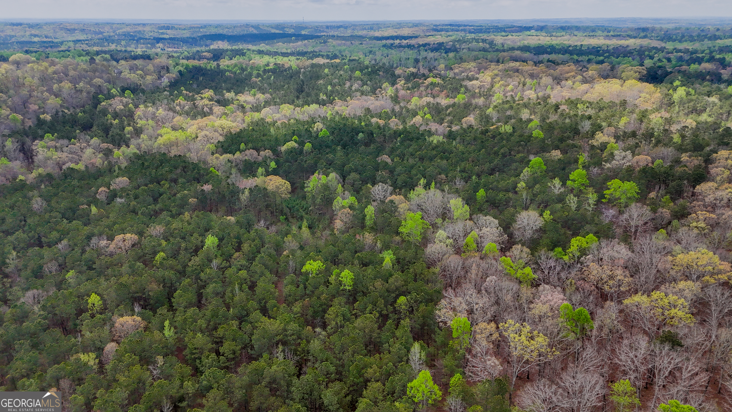 78-acres Cross Plains Road Carrollton, GA 30116 - Photo 3 of 5 a view of a field with a lush green forest