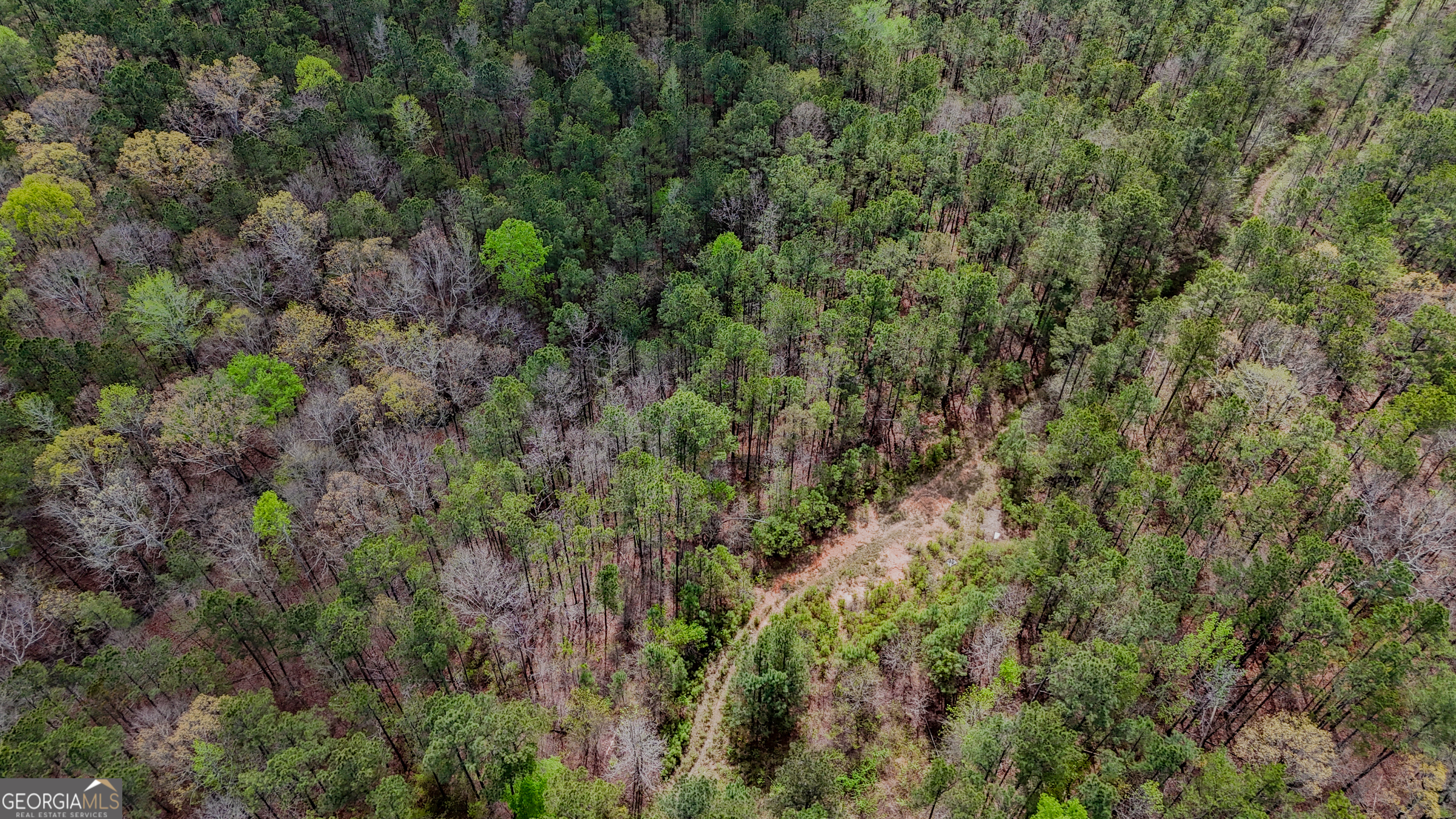 78-acres Cross Plains Road Carrollton, GA 30116 - Photo 4 of 5 a view of a forest with a tree