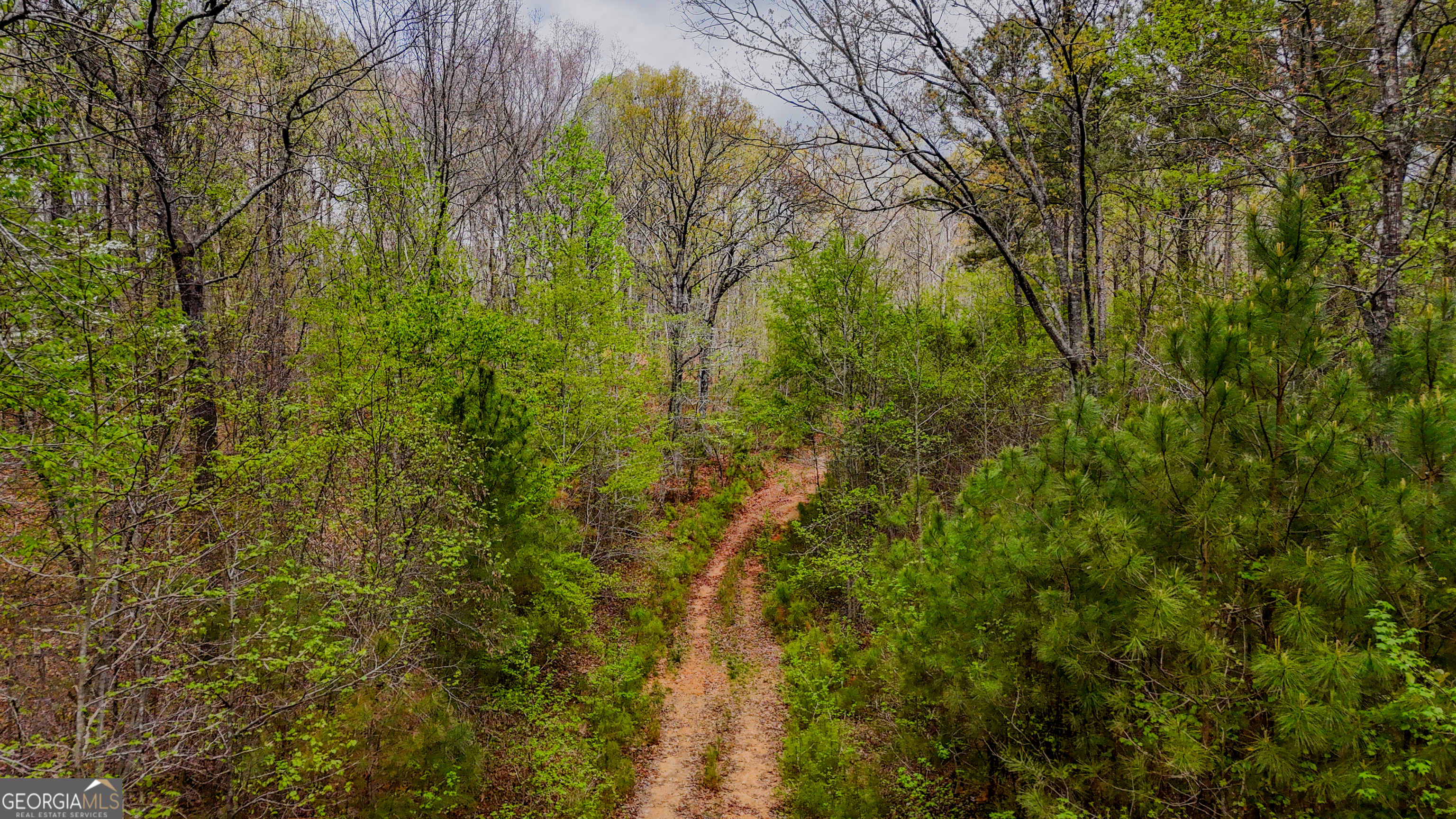 78-acres Cross Plains Road Carrollton, GA 30116 - Photo 5 of 5 a map view of a yard