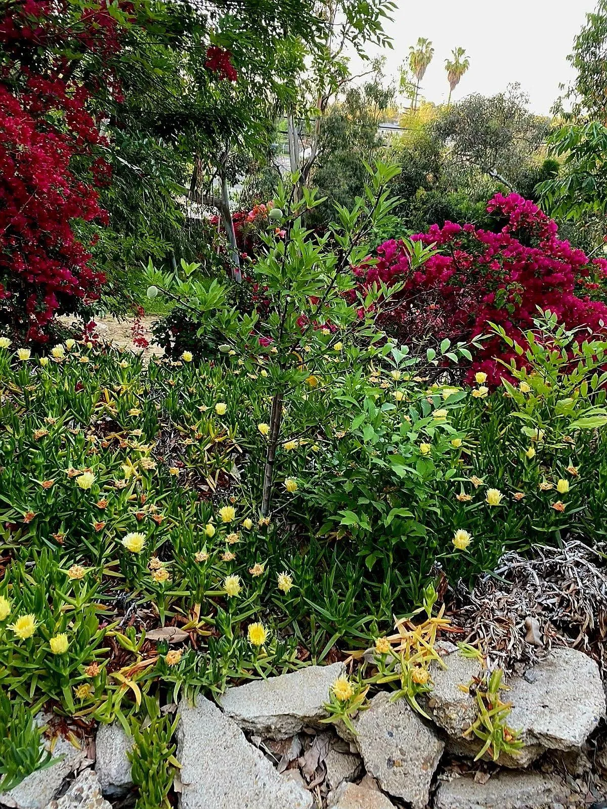 8530 Rockledge Road La Mesa, CA 91941 - Photo 31 of 31