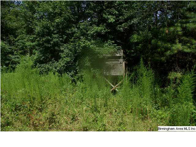 776 Robbins Branch Road, Unit 1 Altoona, AL 35952 - Photo 24 of 30 Gallery Image 24