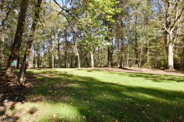 a view of yard with trees
