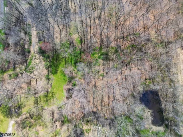 a backyard of a house with a yard and plants