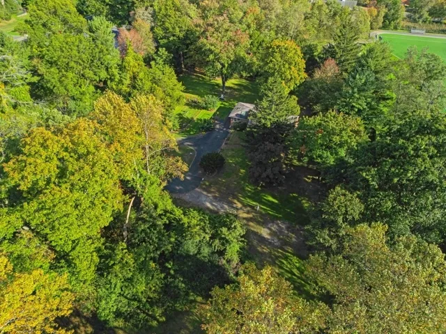 a view of a house with a lush green forest