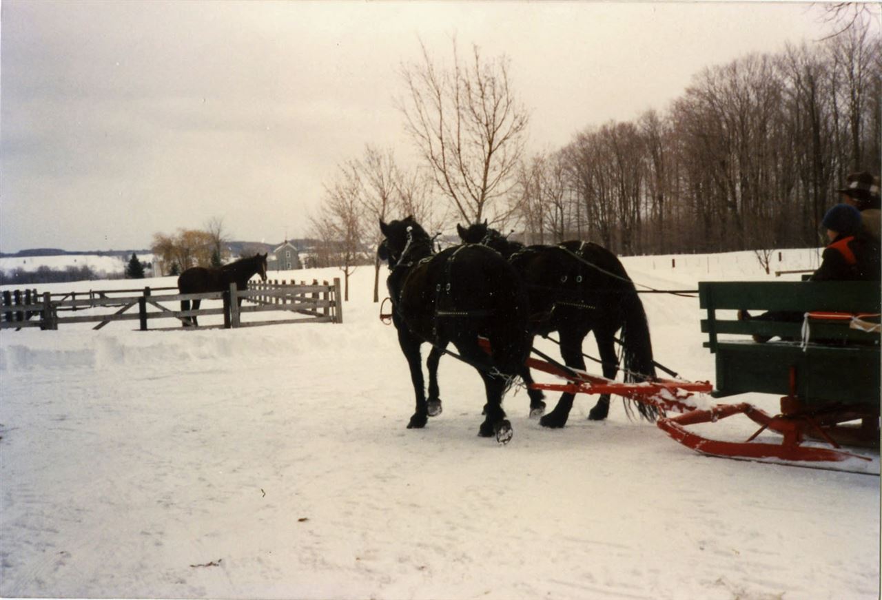 19830 Faylor Road Copemish, MI 49625 - Photo 49 of 53 1815855-49.JPG