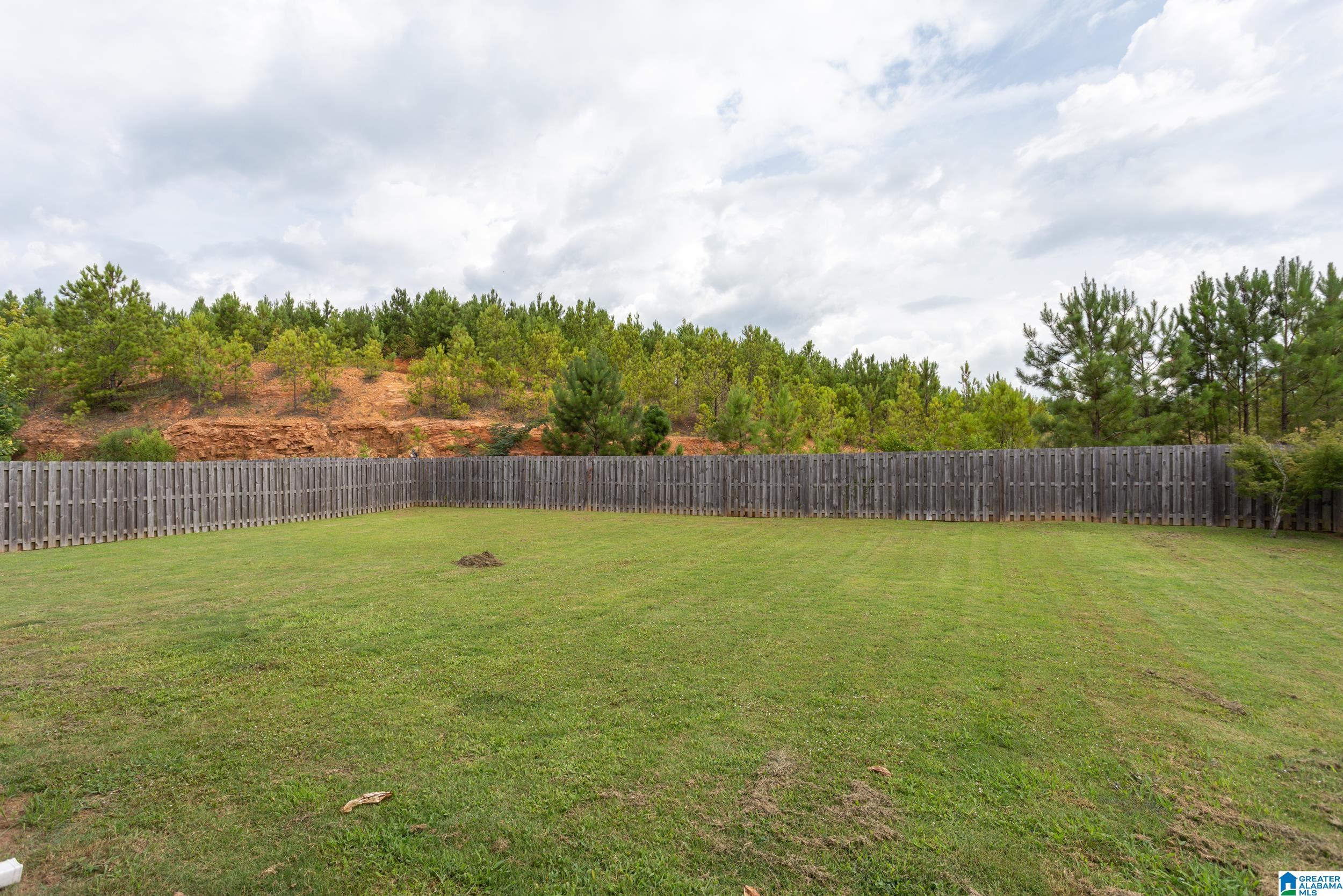 468 Blackberry Boulevard Springville, AL 35146 - Photo 24 of 33