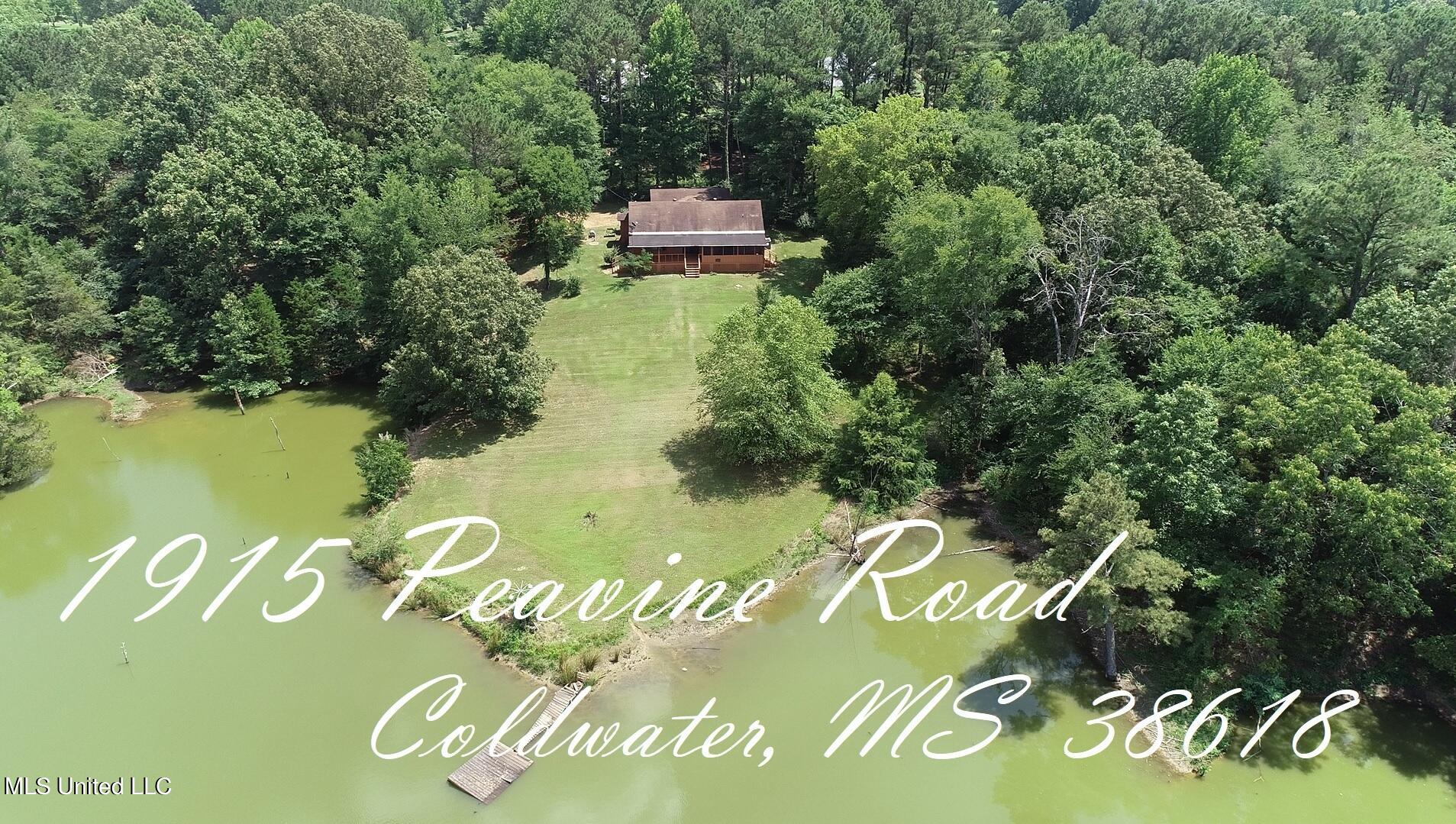 1915 Peavine Road Coldwater, MS 38618 - Photo 1 of 32 Peavine