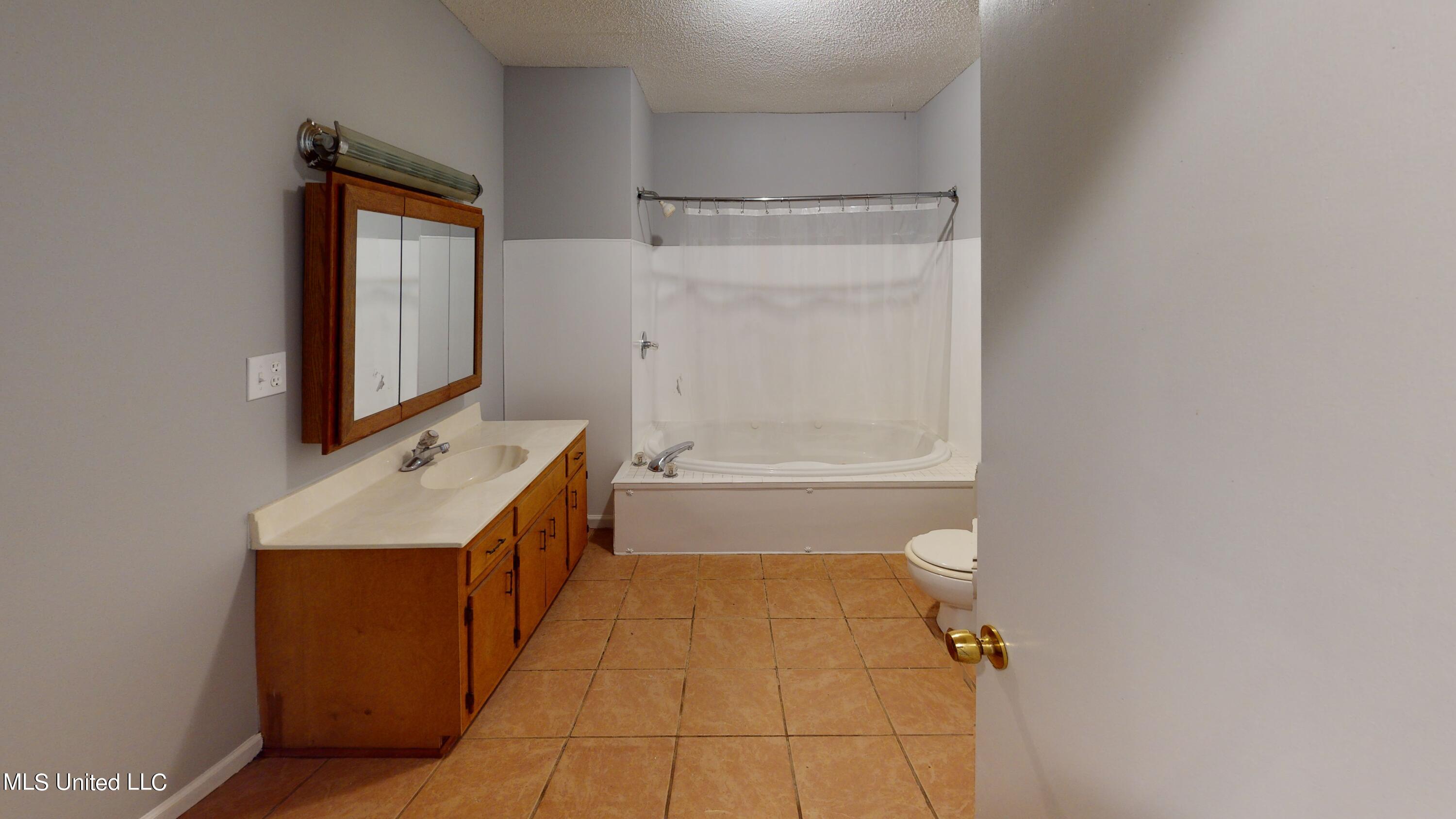 1915 Peavine Road Coldwater, MS 38618 - Photo 21 of 32 1915-Peavine-Rd-Bathroom