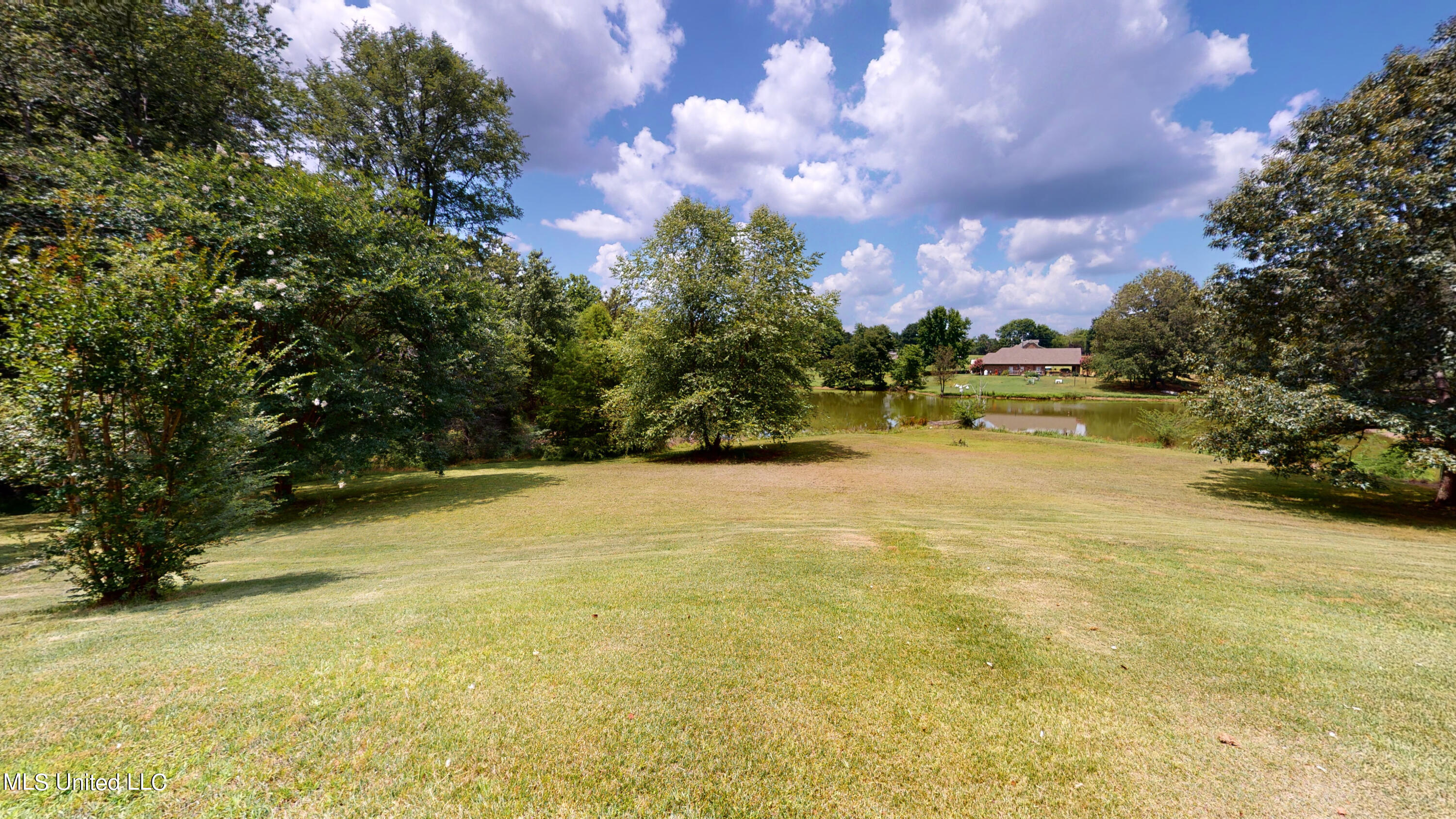 1915 Peavine Road Coldwater, MS 38618 - Photo 24 of 32 1915-Peavine-Rd-07072022_184129