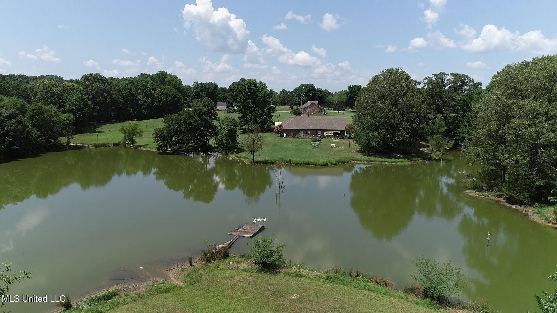 1915 Peavine Road Coldwater, MS 38618 - Photo 28 of 32 Peavine1