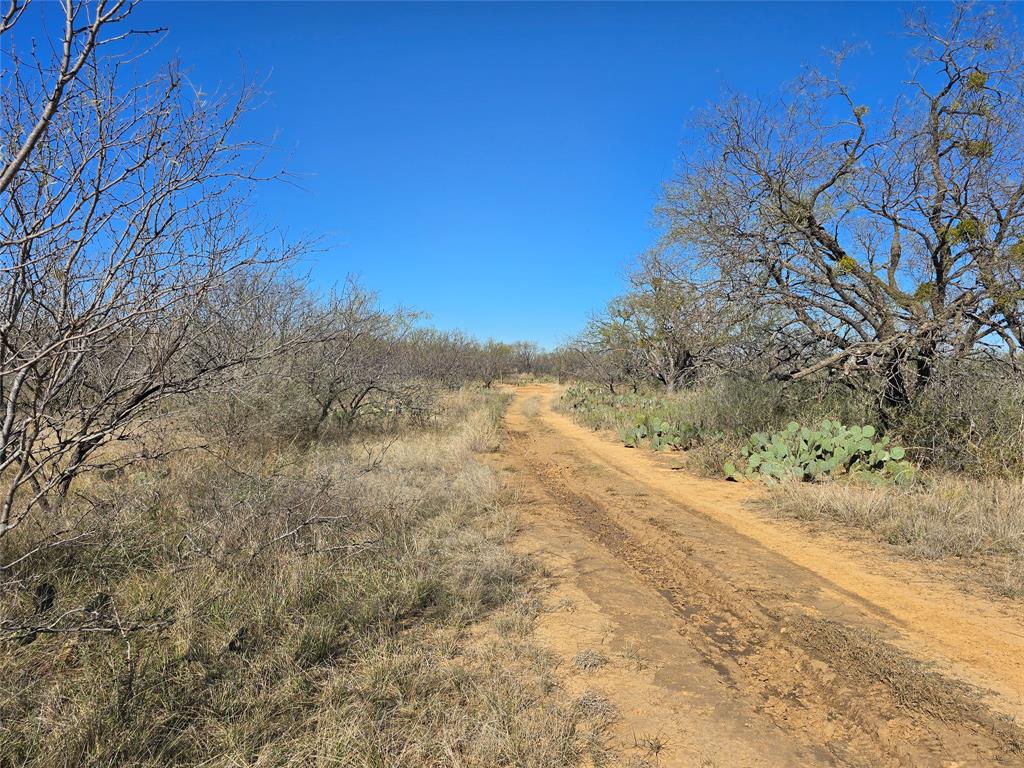 5780 County Road 266 Rochelle, TX 76872 - Photo 31 of 40