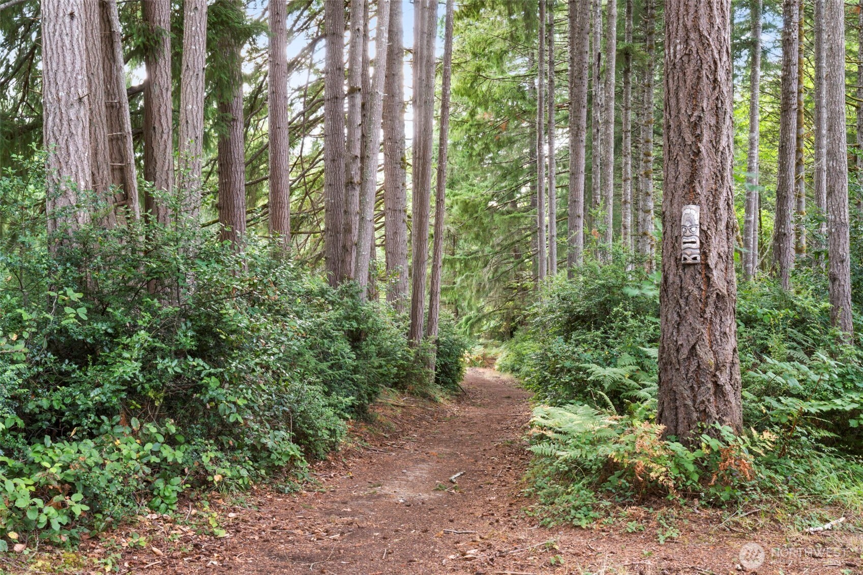 8305 Schirm Road Northwest Olympia, WA 98502 - Photo 37 of 40
