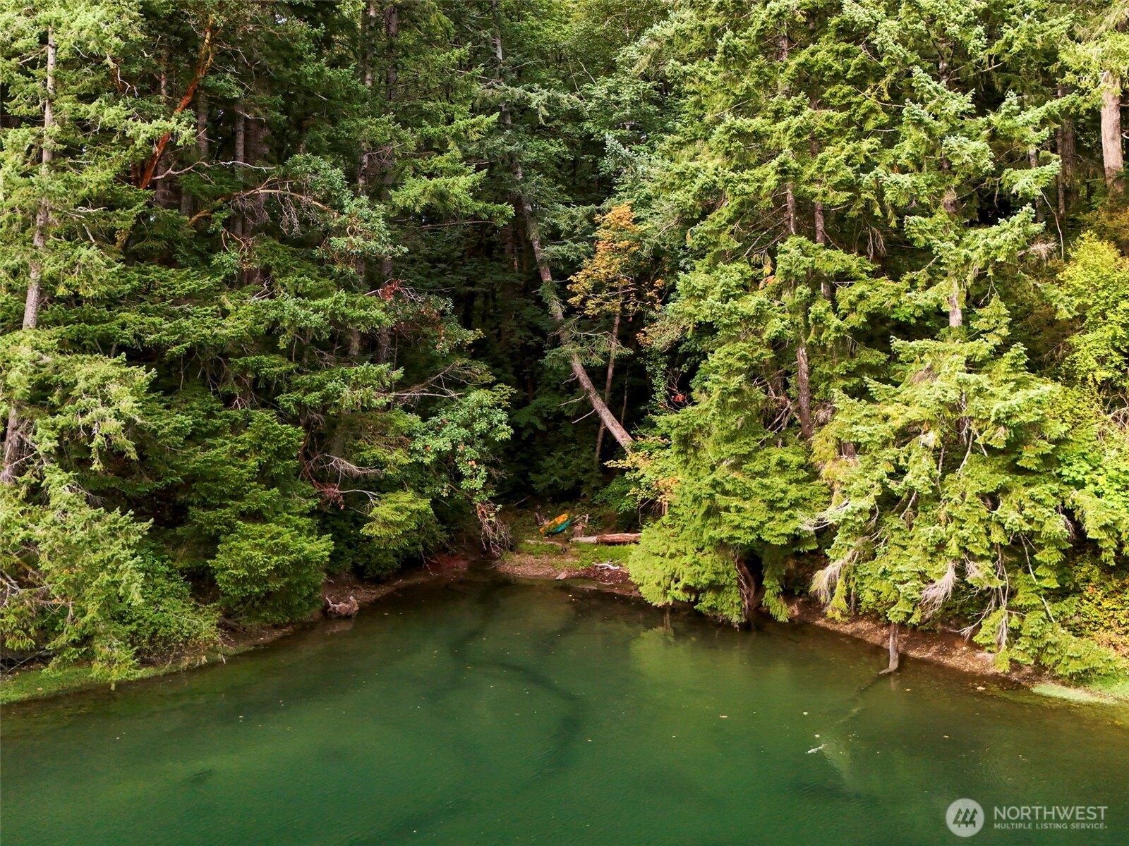 8305 Schirm Road Northwest Olympia, WA 98502 - Photo 4 of 40