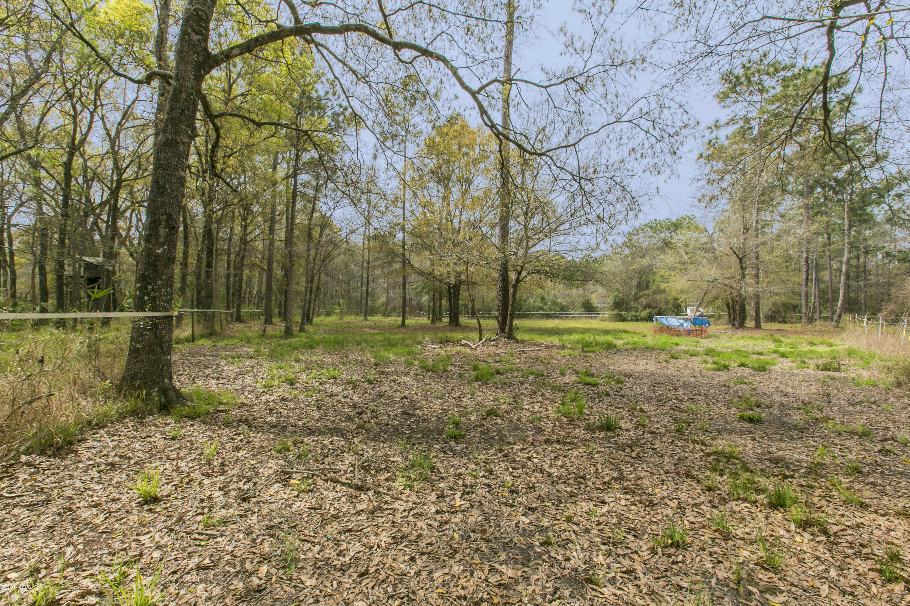 18001 Wells Road Jacksonville, FL 32234 - Photo 26 of 28 026_Pasture