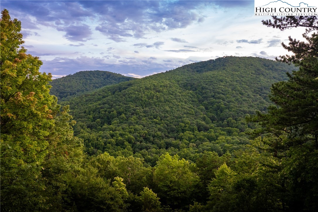 1241 Reynolds Parkway Boone, NC 28607 - Photo 1 of 48 a view of a bunch of trees and bushes