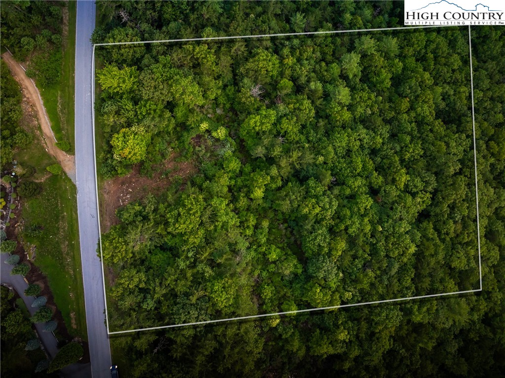 1241 Reynolds Parkway Boone, NC 28607 - Photo 2 of 48 a view of a yard and deck