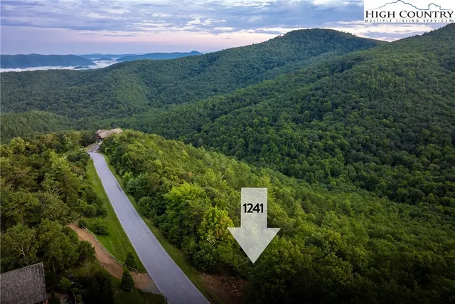 a view of a lush green forest with houses in the back