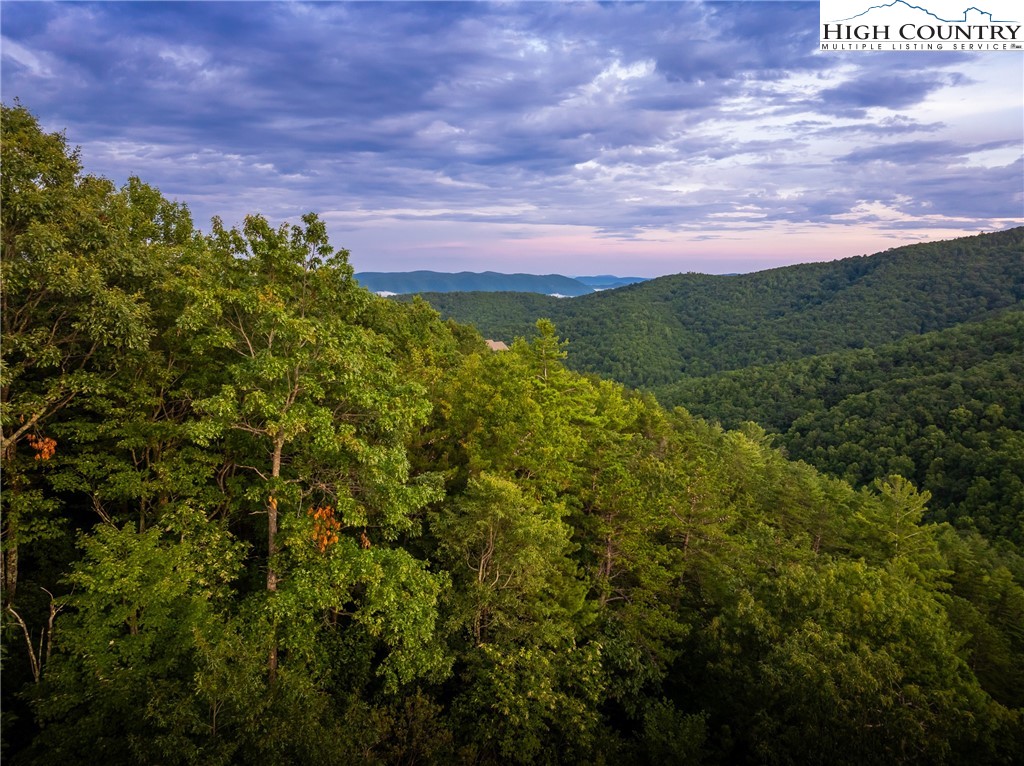 1241 Reynolds Parkway Boone, NC 28607 - Photo 6 of 48 a view of a bunch of trees