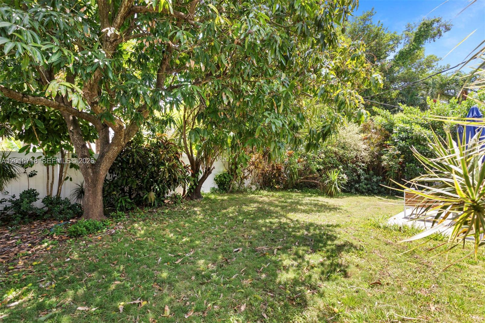 9125 Carlyle Avenue Surfside, FL 33154 - Photo 17 of 18 a big yard with lots of green space and house in the back