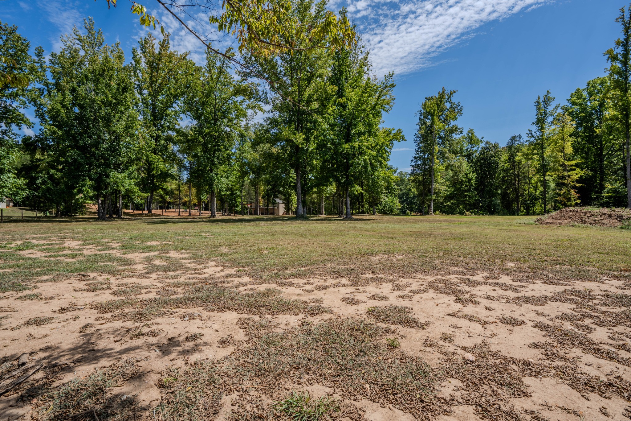 1 New Era Landing Road Linden, TN 37096 - Photo 42 of 55 a view of a green field with trees in the background