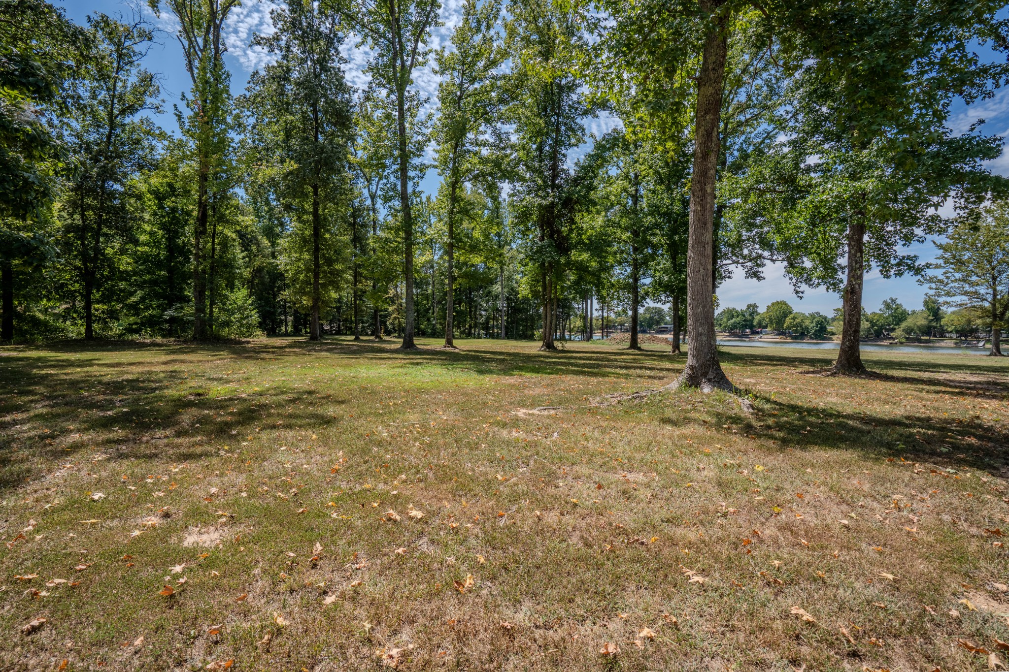 1 New Era Landing Road Linden, TN 37096 - Photo 46 of 55 a view of outdoor space with trees