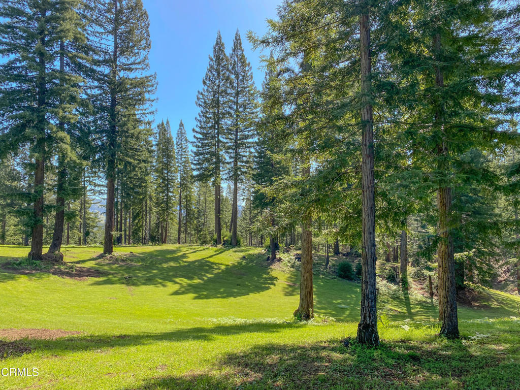 13740 Peregrine Road Philo, CA 95466 - Photo 41 of 49