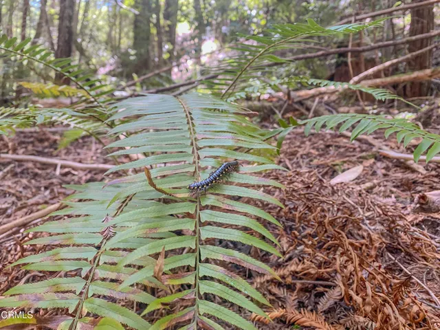 $995,000 | 13740 Peregrine Road, Philo, CA 95466