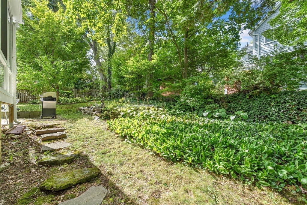 10 Stevens Terrace Arlington, MA 02476 - Photo 30 of 31 a view of a yard with plants and large trees
